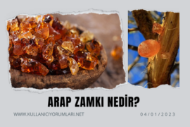 Arap zamkı nedir? Arap zamkının faydaları ve zararları