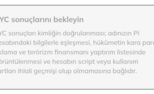 Pi Coin KYC Doğrulama Sorunu Yaşayanlar Ne Yapıyor?